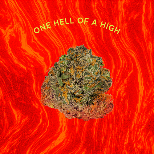 Blazin Kush Cake Mixed Flower - Image 3