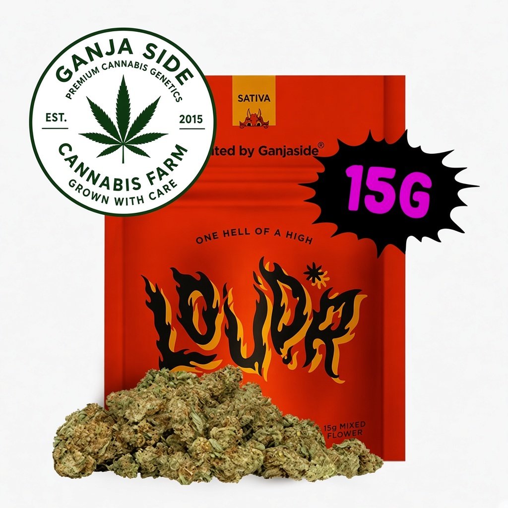 Gastro Pop Strain Ground Flower
