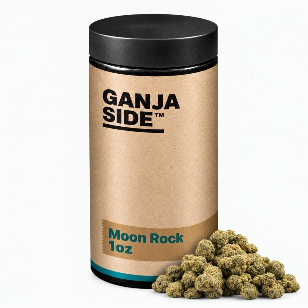 Moon rock