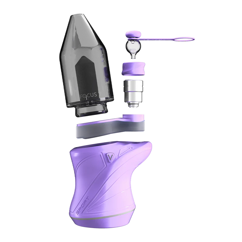 Focus V - Carta Sport (Lilac) - Image 2