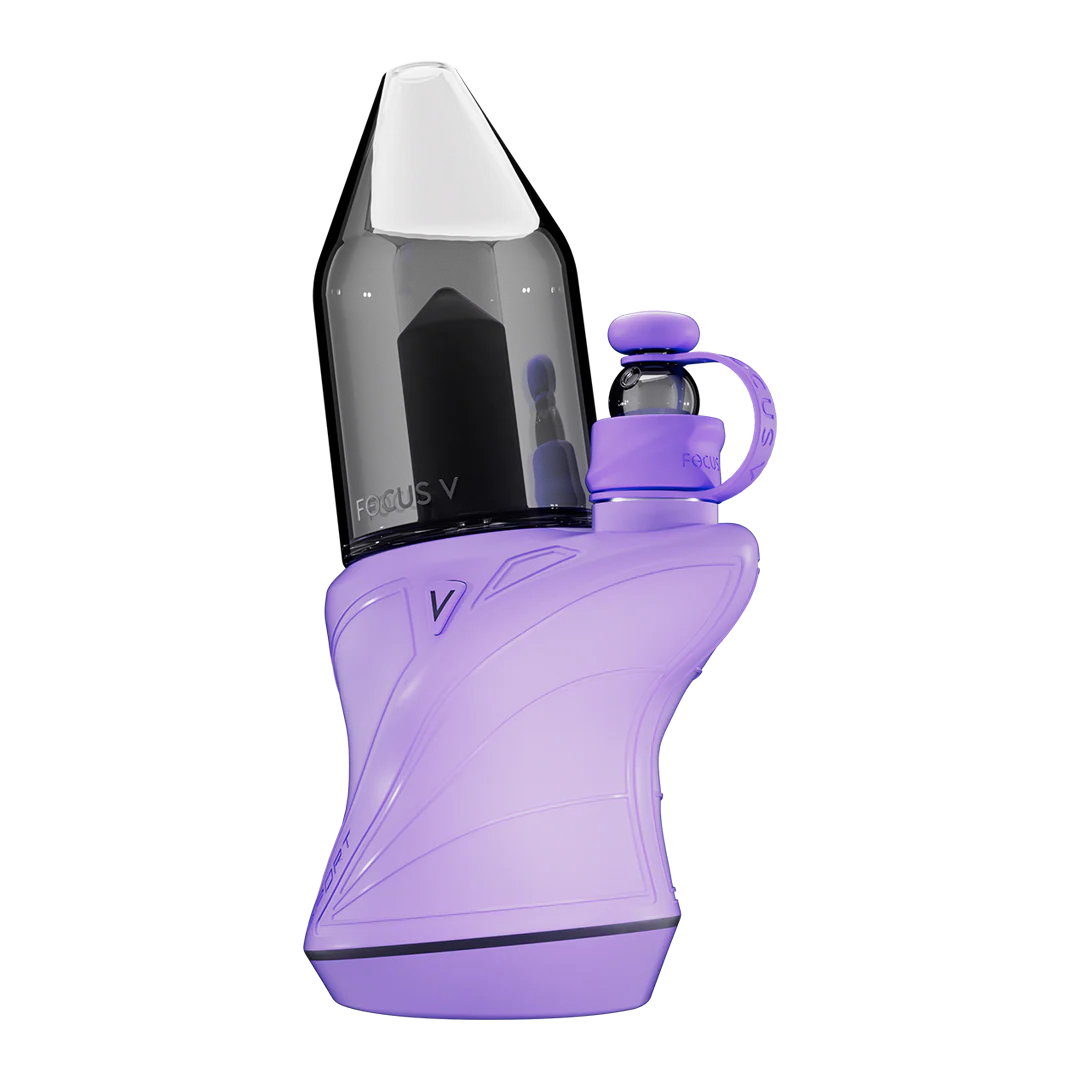 Focus V - Carta Sport (Lilac)